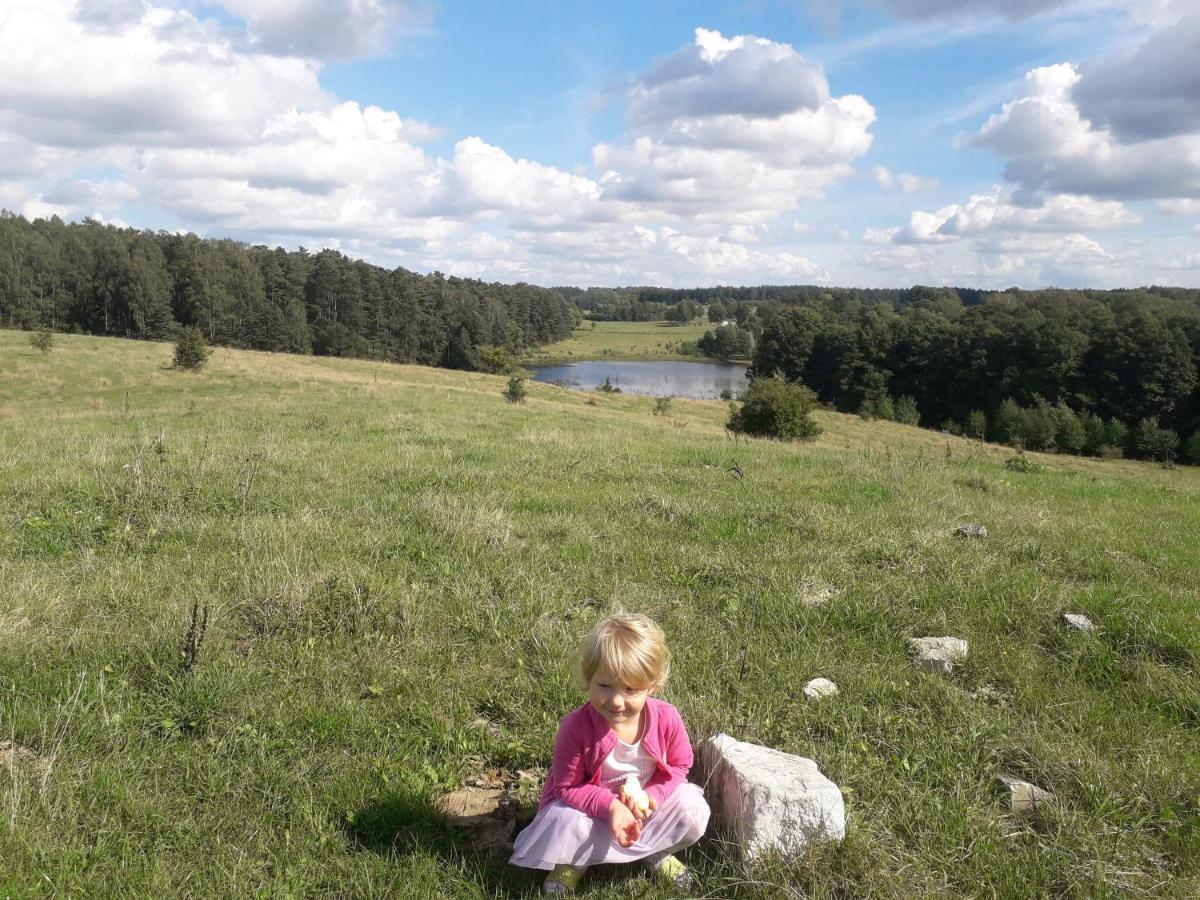 Вилла Zacisze Przy Lesie Рын Экстерьер фото
