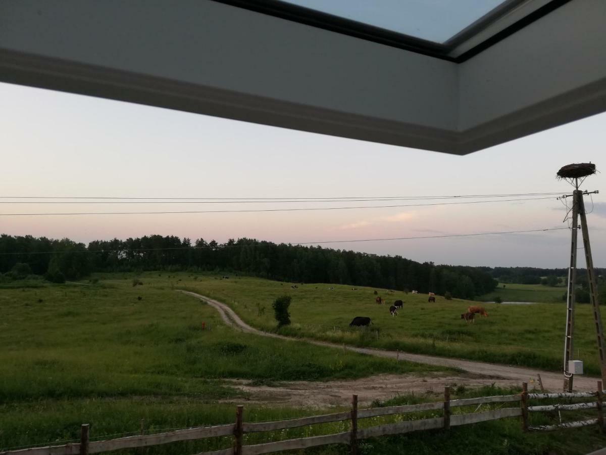 Вилла Zacisze Przy Lesie Рын Экстерьер фото